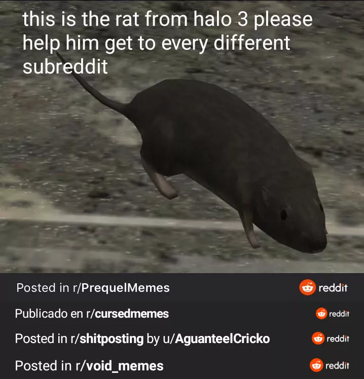 Halo 3 posted by International_Score8