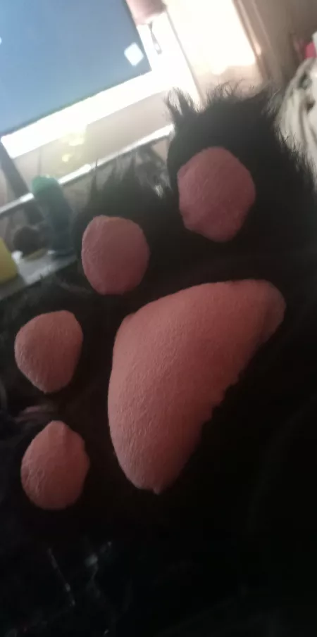 Hand paws! 🐾❤️ by Adaraaat