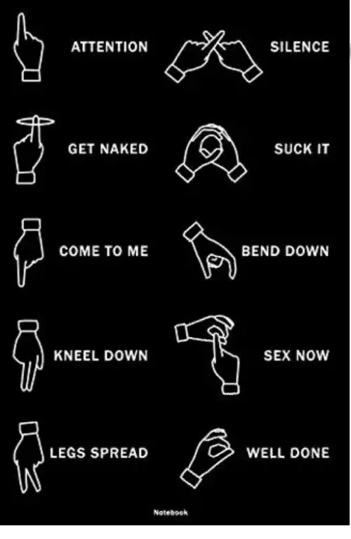 Hand signals ? Who's in for it! by favvygodness