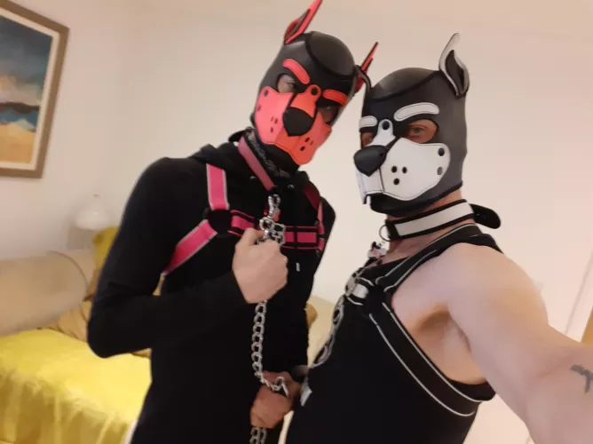 Handsome boys 🐾💕 by pinkpuppyjinx