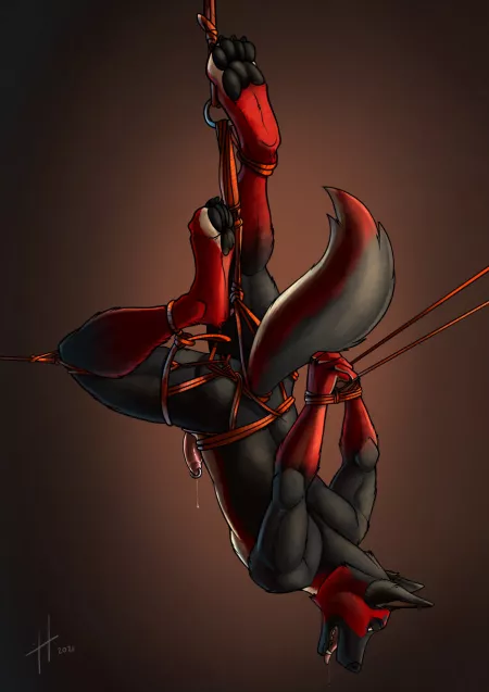 Hang in There (Hufnaar) by DL2828