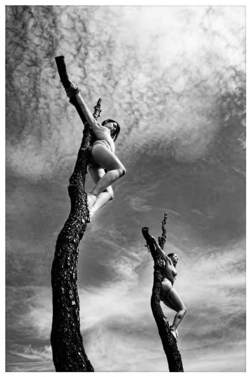 Hanging high by sunnymirte