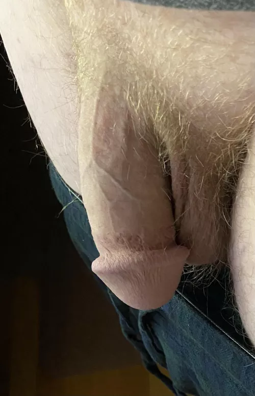 Hanging it out there with the other boys by db_86