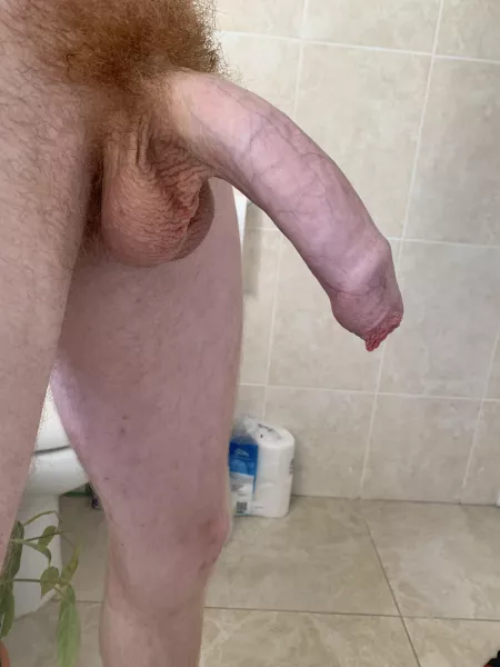 Hanging by Sea_Ad_2533