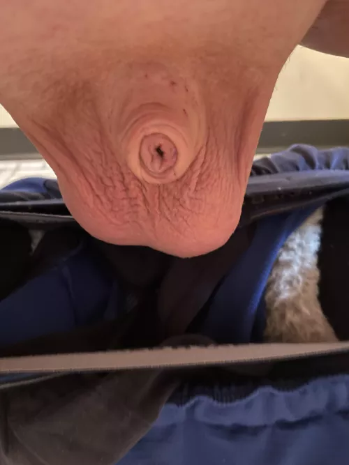 Hanging low (40) by Friendly-Jacket-1793