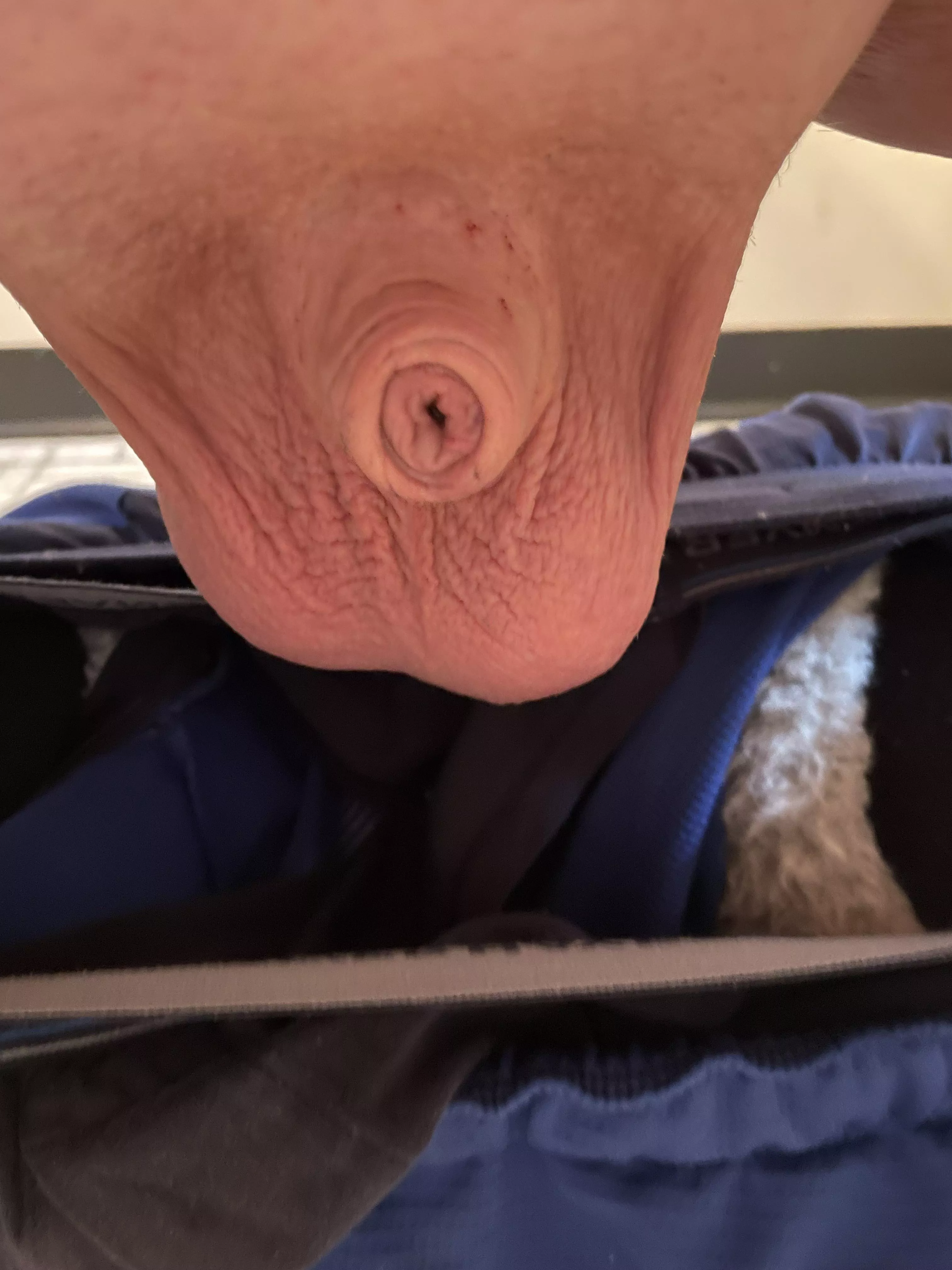 Hanging low (40) posted by Friendly-Jacket-1793