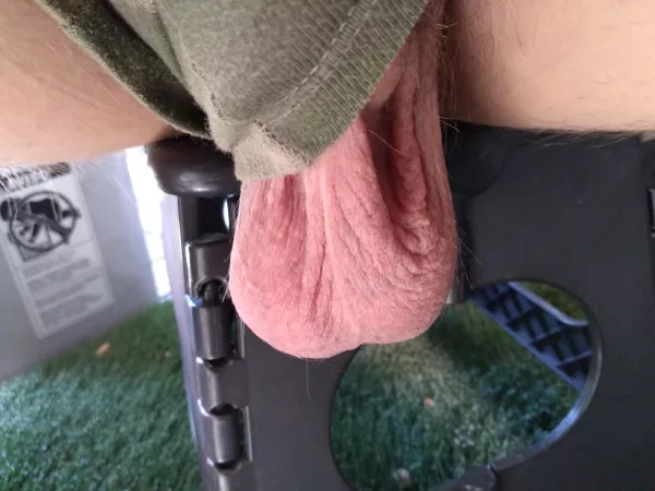 Hanging low on the patio by switchsucker