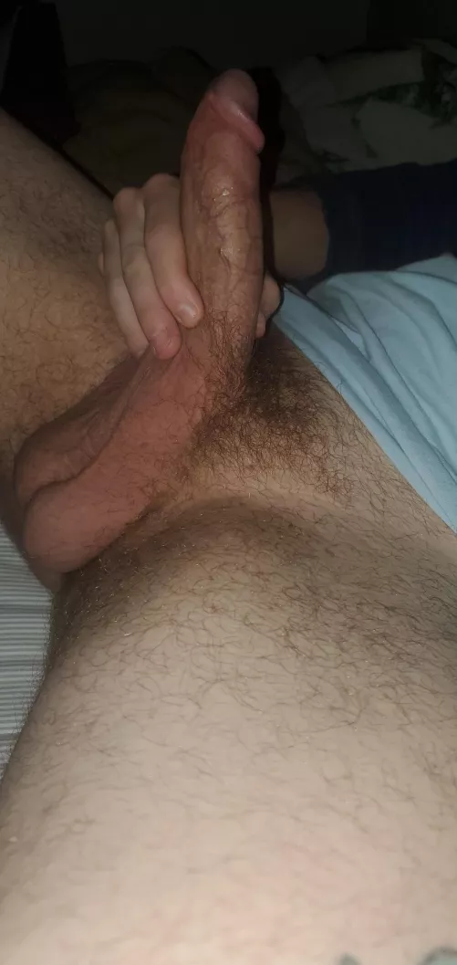 Hanging low tn. Dms open by Present-Sorbet8168