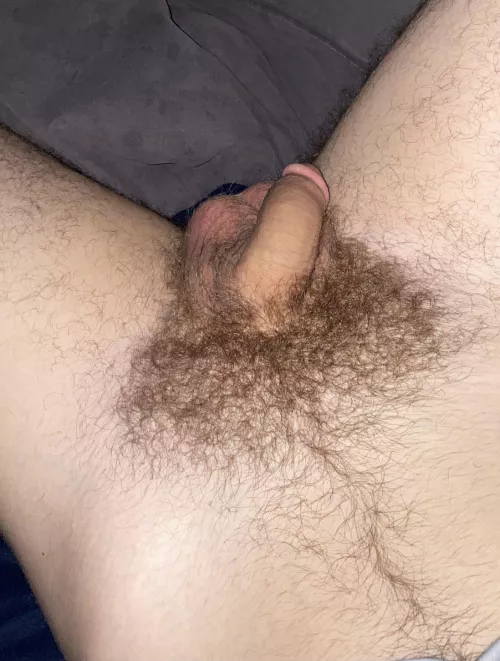 Hanging out (18) by Phenix73