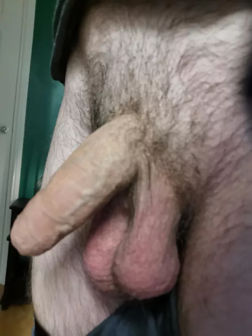 Hanging Out by ScottishWolf18