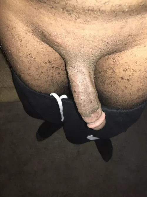 Hanging out by Lil_hunt22