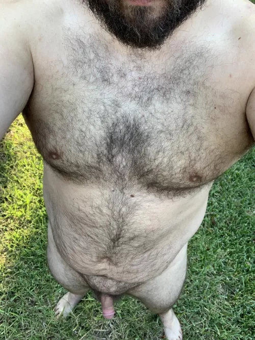 Hanging out in the yard by throwaway44776655667