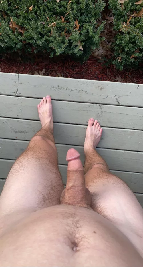 hanging out on my front porch waving at people passing by👋 by ShowingOff_02