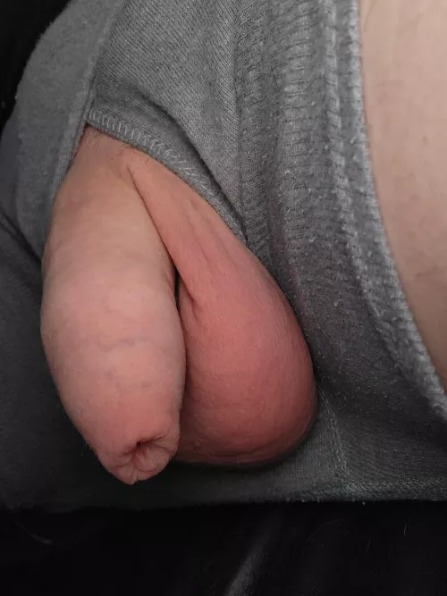 Hanging out softie by Emotional_Hour4238