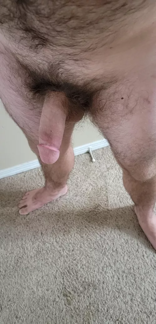 Hanging, patiently waiting for you by tin_girth