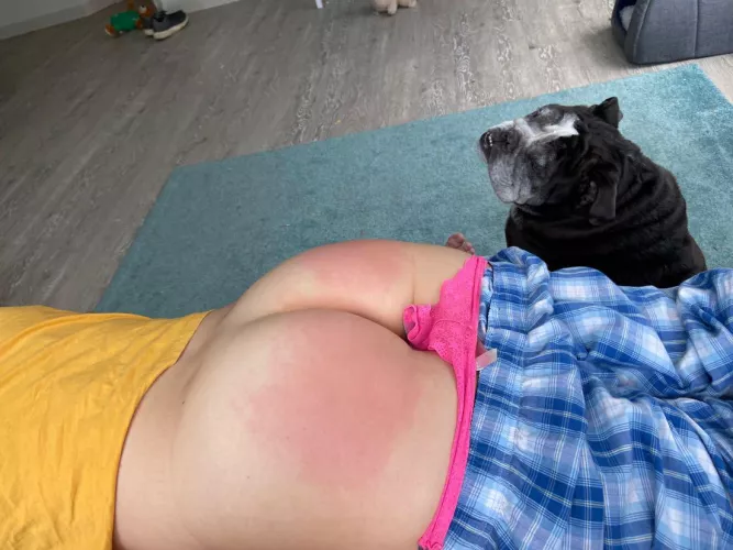 Happy 22nd b-day! (And 1 to grow on) by freshmenSpatulas