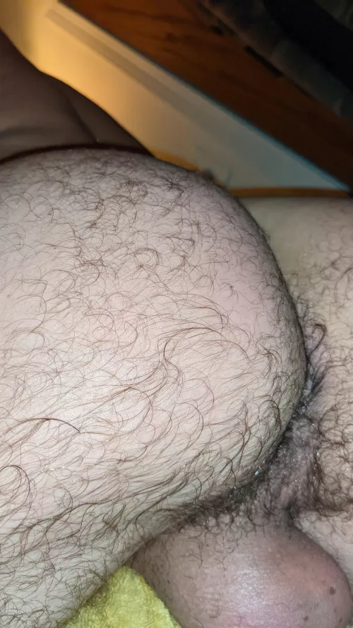 Happy dump day by apuppy4fun