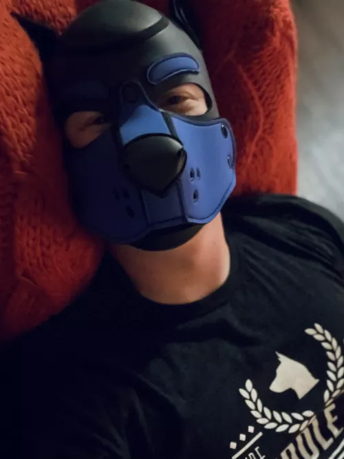 Happy Friday!! by PupMerlyn