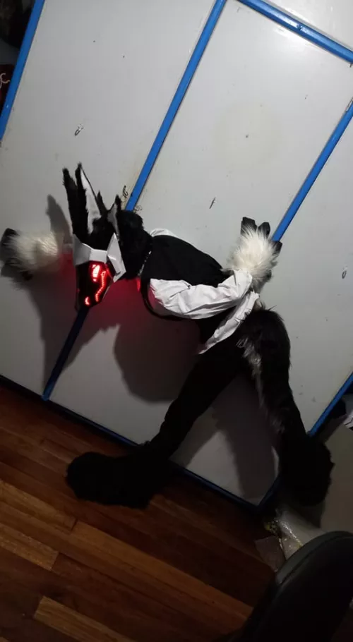 Happy fursuit friday! I dont even know what to call this pose lmao. by Dude_Verse