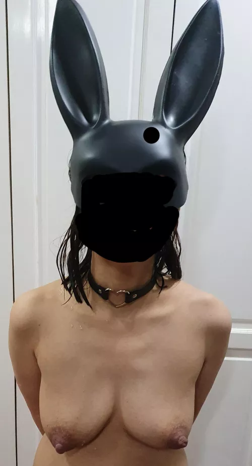 Happy Halloween! (F) by whitecoat69