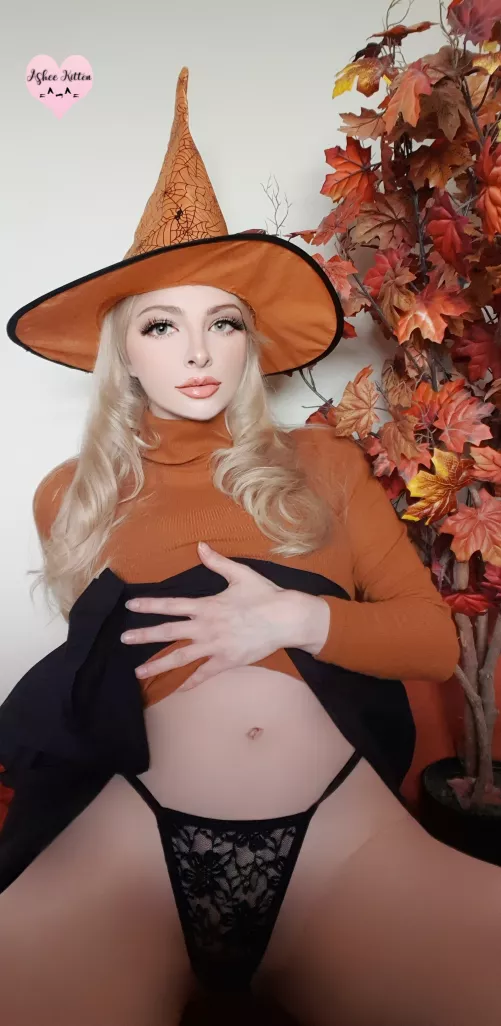 Happy Halloween 🍁🎃🍁 by Ashee_kitten