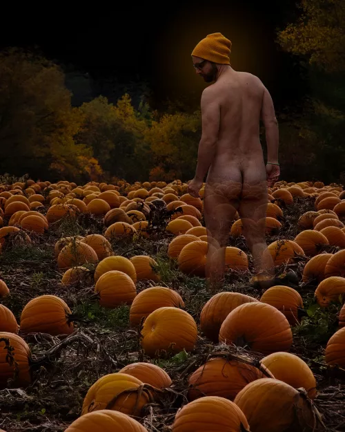 Happy Halloween! by theNaturalOrange