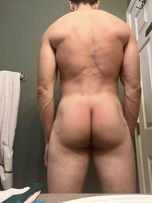 Happy holidays by lionred5099