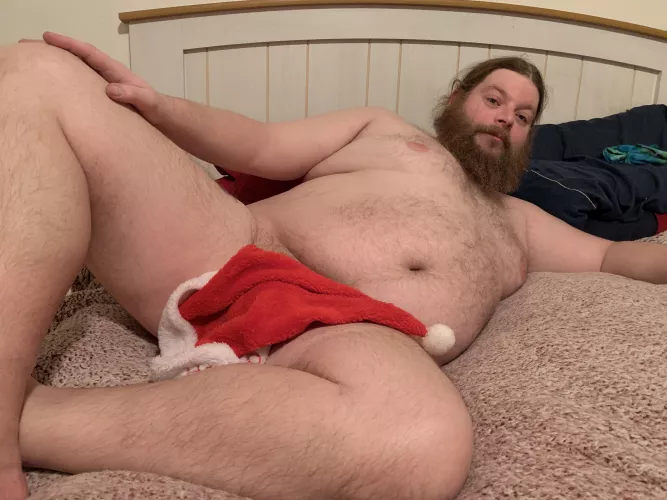 Happy Holidays by Bigdaddycool1979