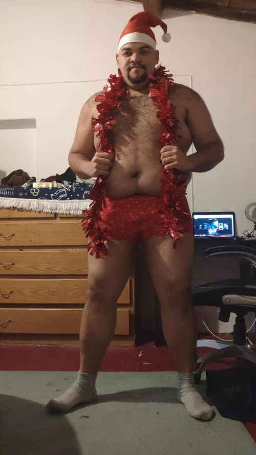 Happy Hollidays! by andnet_br