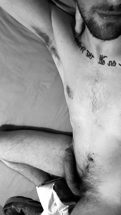 Happy Hornidays by tat246