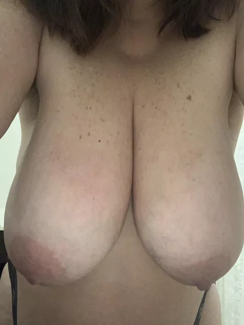 Happy hump day! by bbwlily