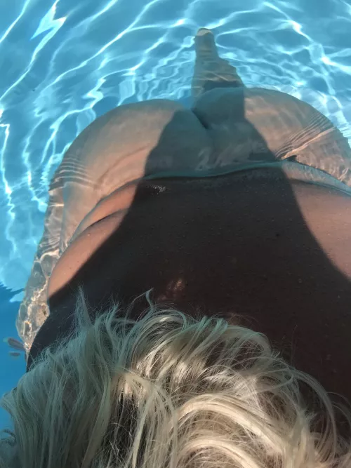 Happy Hump Day by Desperate_Industry81