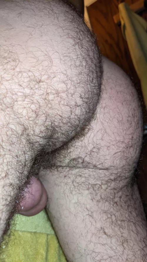 Happy hump day by apuppy4fun