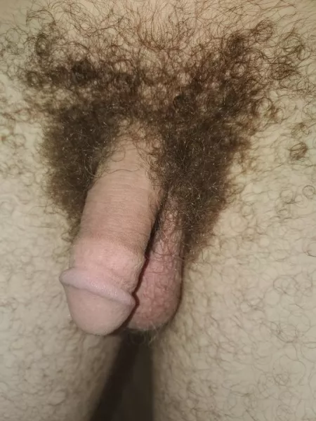 Happy hump day by HeWatchedTheSky