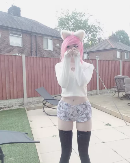 Happy International Cat Day from r/NekoIRL! by Bix_Brecht