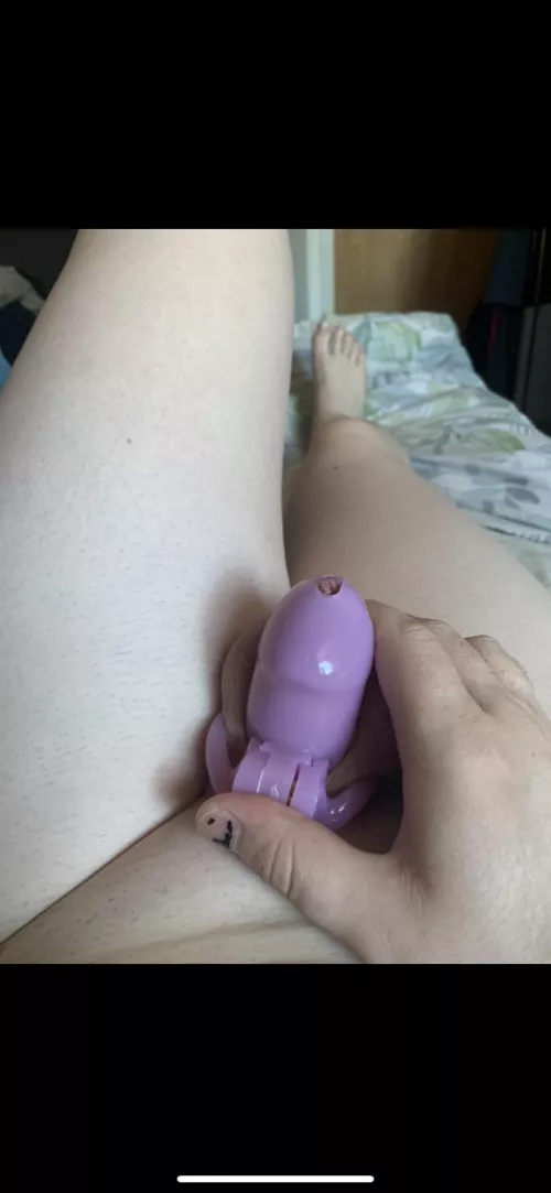 Happy International “Male” Chastity Day!! by Locked_cock_bitch