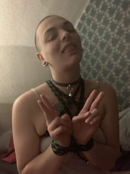 Happy lil kitten in (f)av star harness tie 😽 by TastyTae