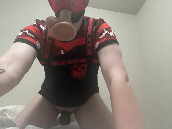 Happy locktober pups! by PupGiggles