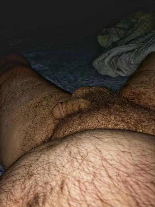 Happy Monday by BeardedPapaBear