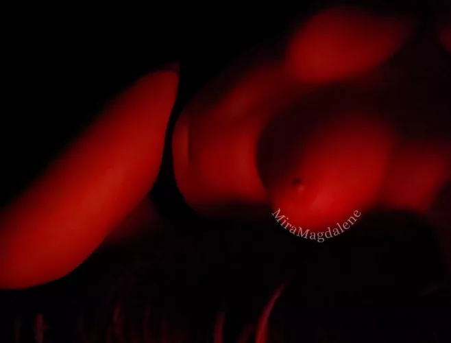 Happy New Year. 🥂 by MiraMagdalene