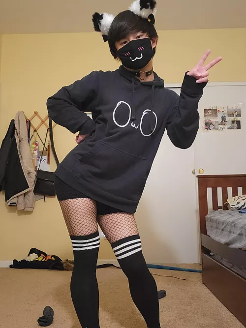 Happy new year and the first caturday of the year! by TheScrubu