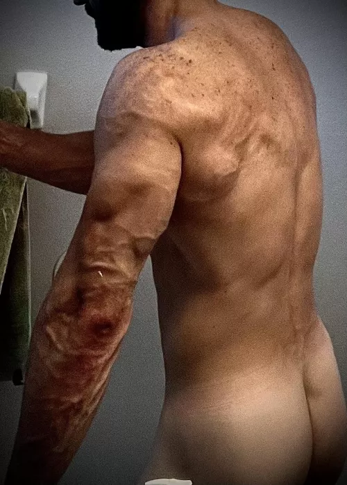 Happy New Year you filthy animals! by mjb35363