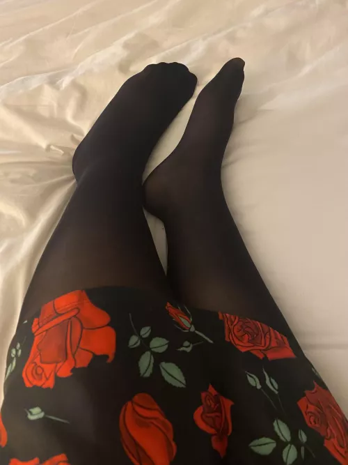 Happy Nylon Year! by kittypoppins13