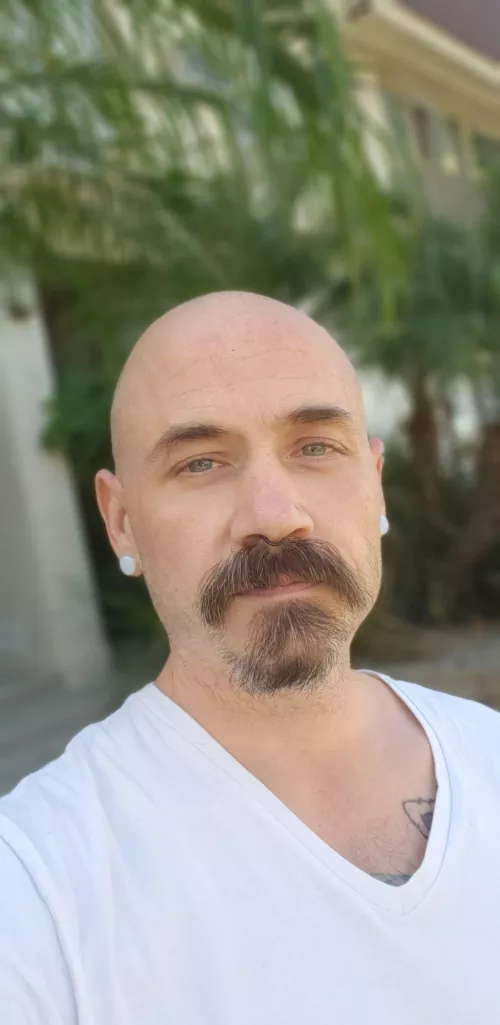 Happy Saturday bros by SmallBrief