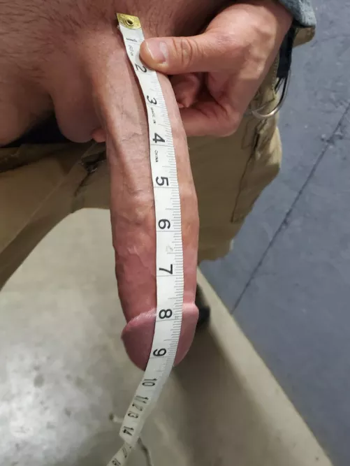 Happy Sunday by stillhung