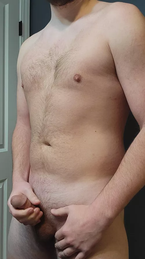 Happy Tuesday! by young_bear-4413