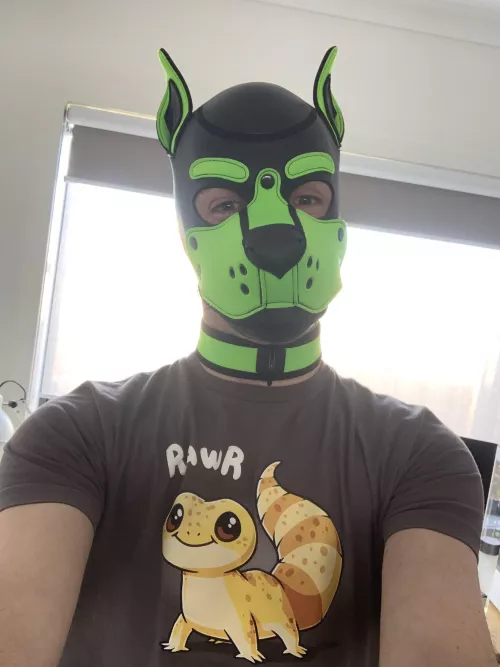 Happy Tuesday fellow pups! 🐾 by pup_cayde