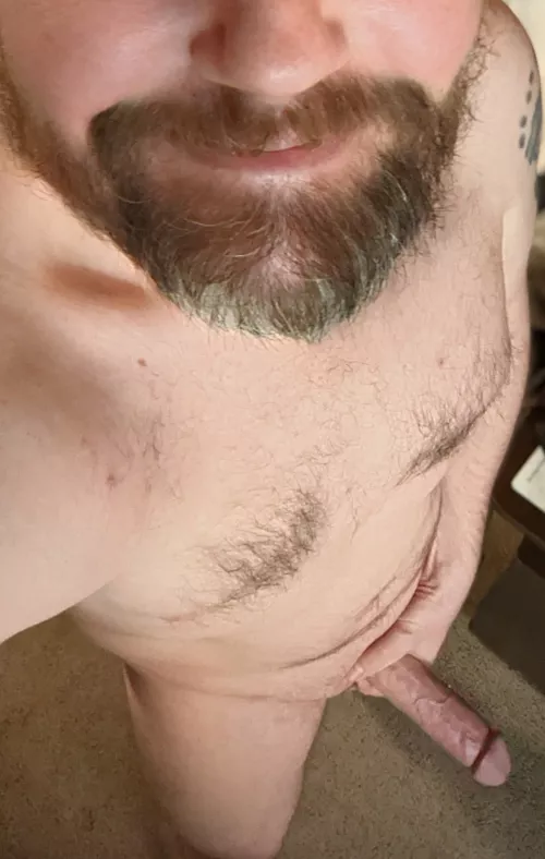 Happy Tuesday, wanna come over for tacos? [42] by BoneSilence