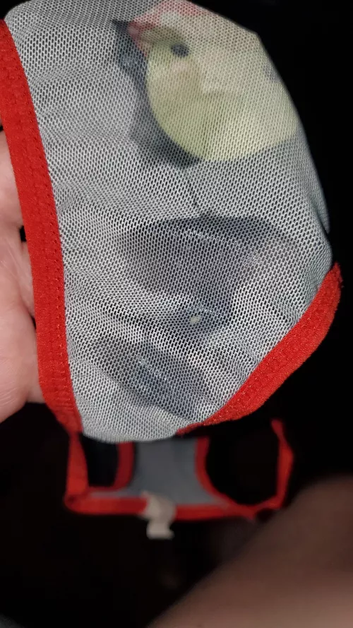 Happy V day 🤍🤍 by shrooms3