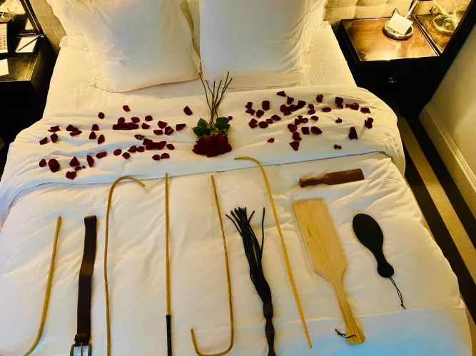 Happy Valentine’s Day 🦯 🏏 ❤️ by hjgbuijhgh